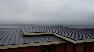 Best Cold Roofs  in Crab Orchard, WV